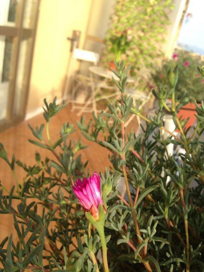 Leucosia Bed & Breakfast Σαλέρνο Εξωτερικό φωτογραφία
